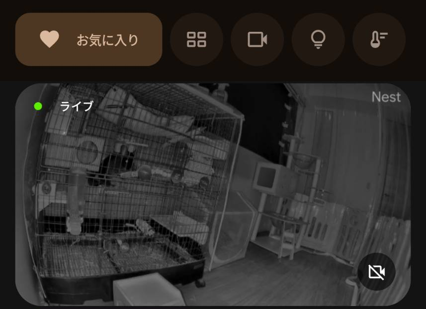 Google Home上でNest Camを確認